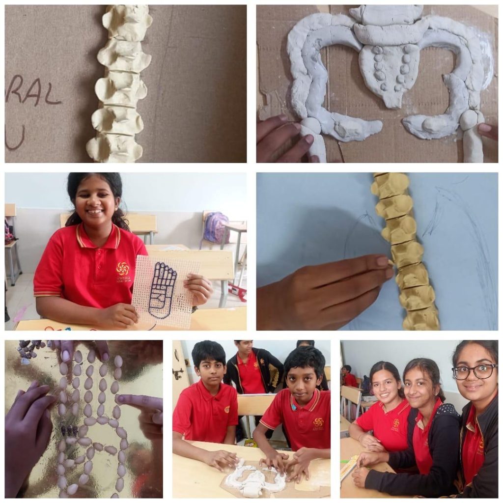 Whatsapp image 2025 10 30 at 12.33.44 (4)